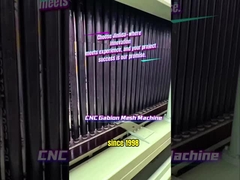 จินลิดา: เครื่องจักรแกบิออนของจีนสําหรับริมแม่น้ําที่แข็งแกร่งขึ้น