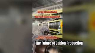 เครื่องเกเบี้ยนความเร็วสูง Jinlida | เทคโนโลยีเซอร์โวไดรฟ์เพื่อประสิทธิภาพสูงสุด